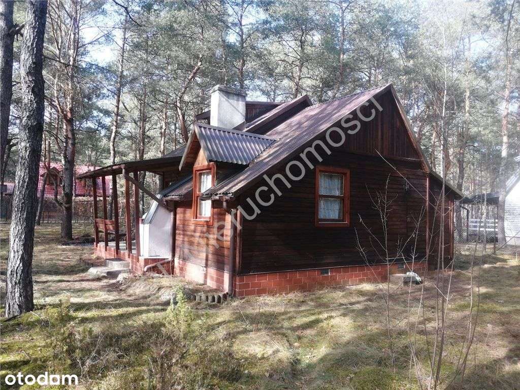 Dom letniskowy wśród lasów w gminie Dobre-2