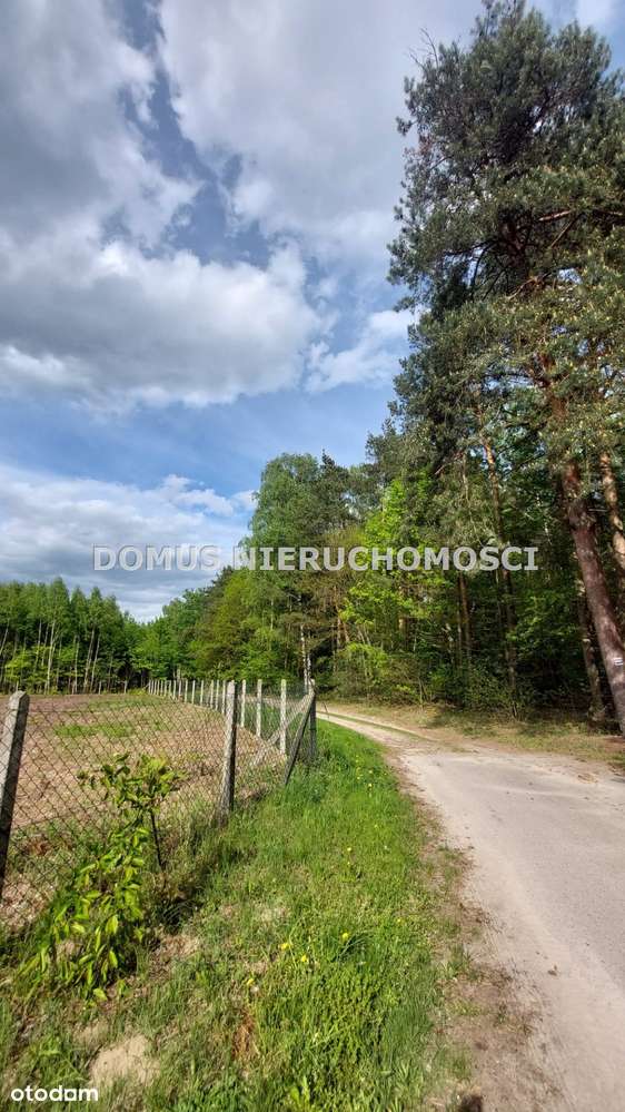 Działka - Rosanów - Pełny obrazek: 5/9