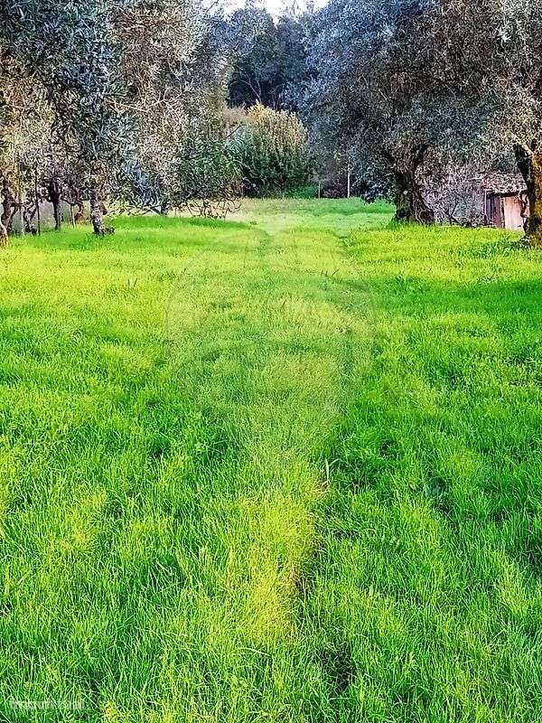 Terreno  para venda - Grande imagem: 5/13