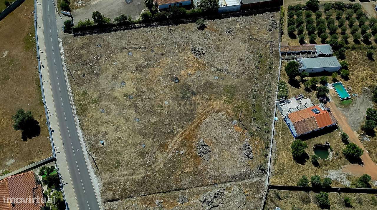 Terreno em Cano, Sousel, Portalegre - Grande imagem: 5/20