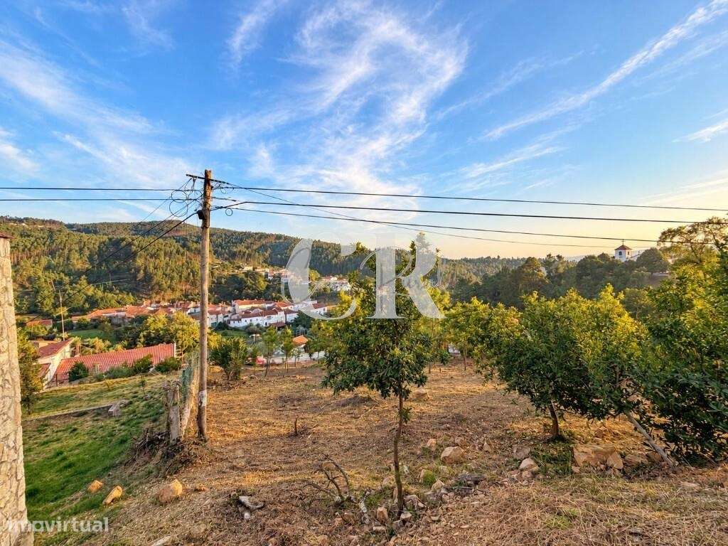 Moradia em pedra com 4 quartos, logradouro e terreno agrícola-24