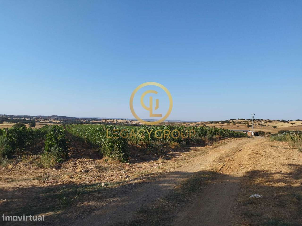 HERDADE DE 36 HECTARES EM SANTIAGO MAIOR - Grande imagem: 5/35