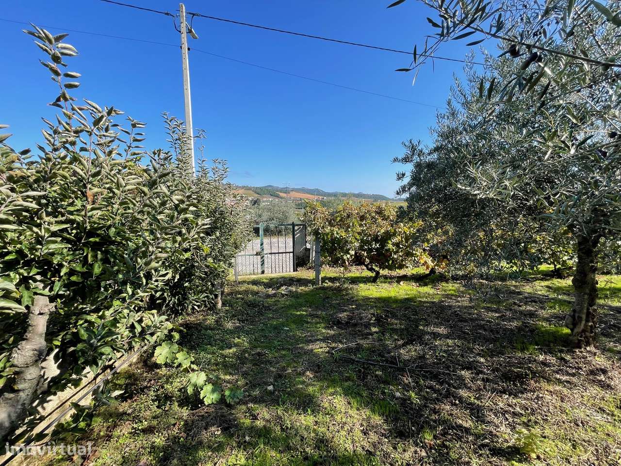 QUINTA EM MURÇA | CASA SENHORIAL | OPORTUNIDADE INVESTIMENTO-46