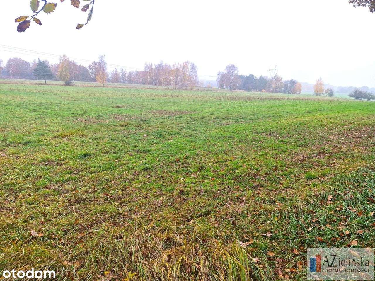 Działka, 40 000 m², Poznań - Pełny obrazek: 5/7