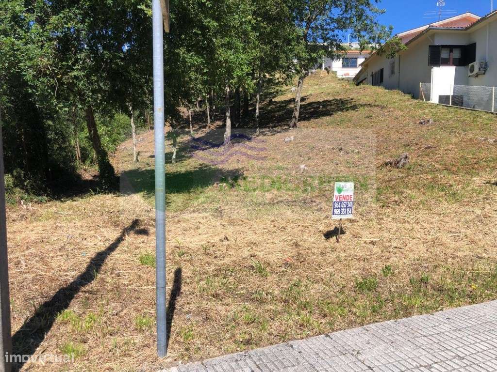 TERRENO COM VIABILIDADE DE CONSTRUÇÃO EM SEVER DO VOUGA - Grande imagem: 4/6