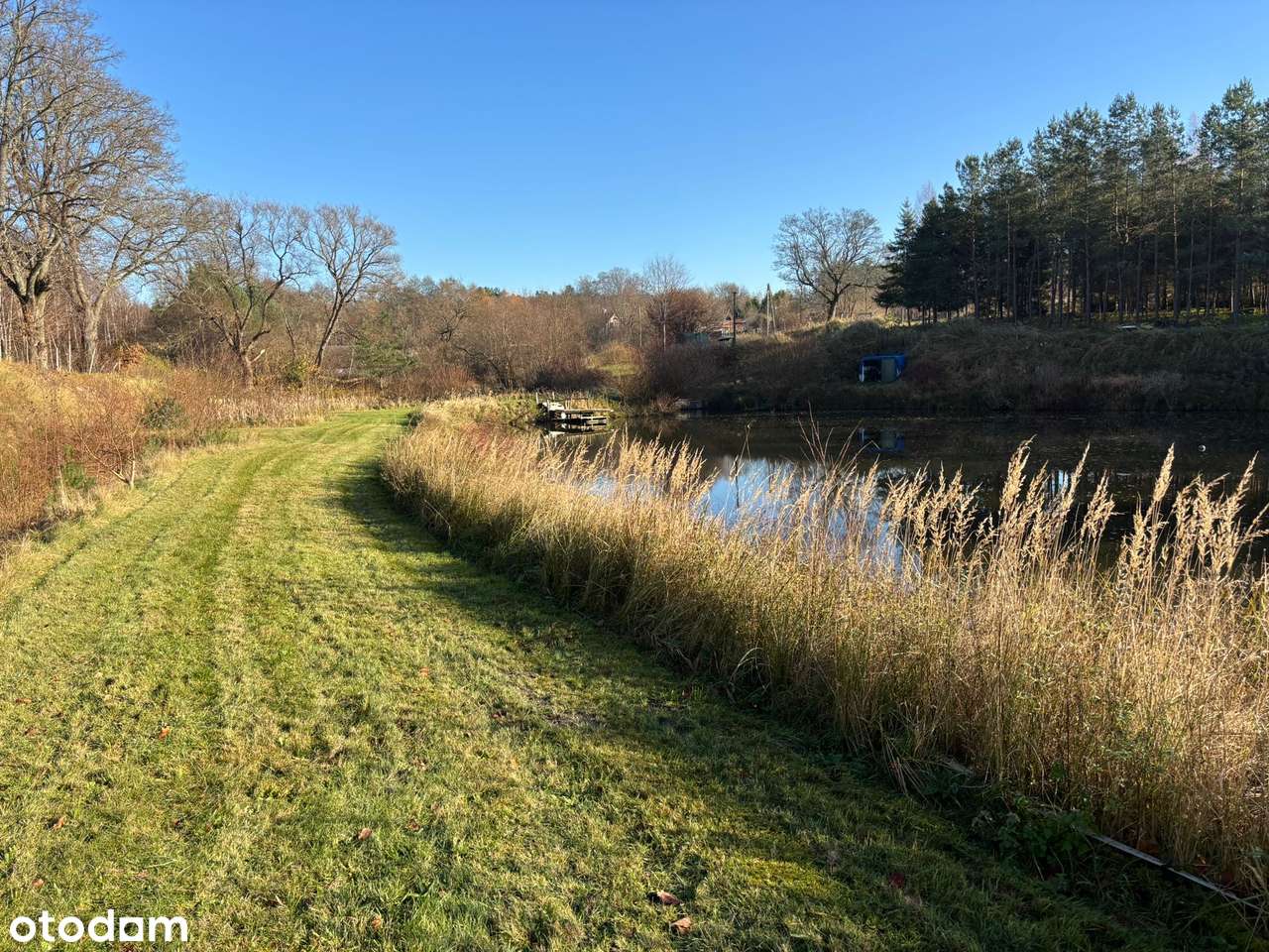 Działka siedliskowa z wydanymi warunkami zabudowy + stawy rybne-9