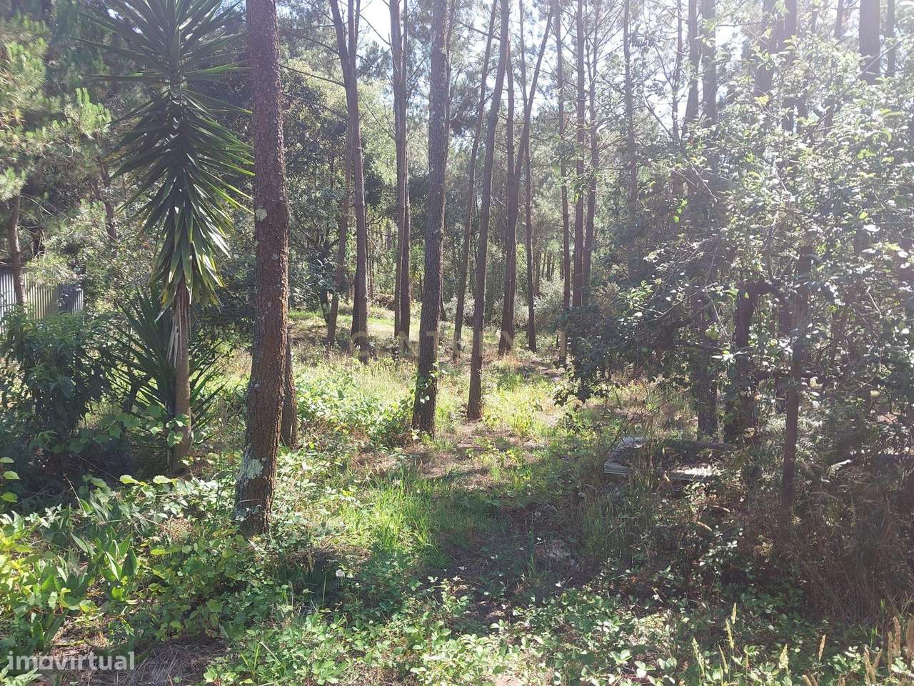 Terreno para construção - Grande imagem: 5/8