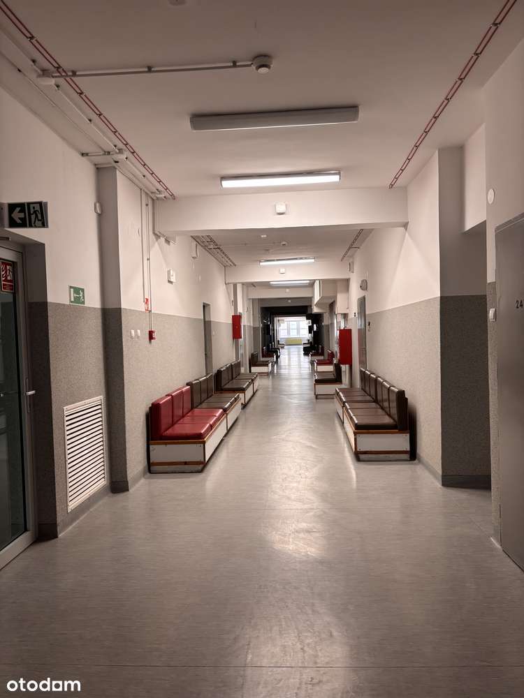 Lokal użytkowy nr 210 do wynajęcia w centrum Szczecina - Pełny obrazek: 5/6