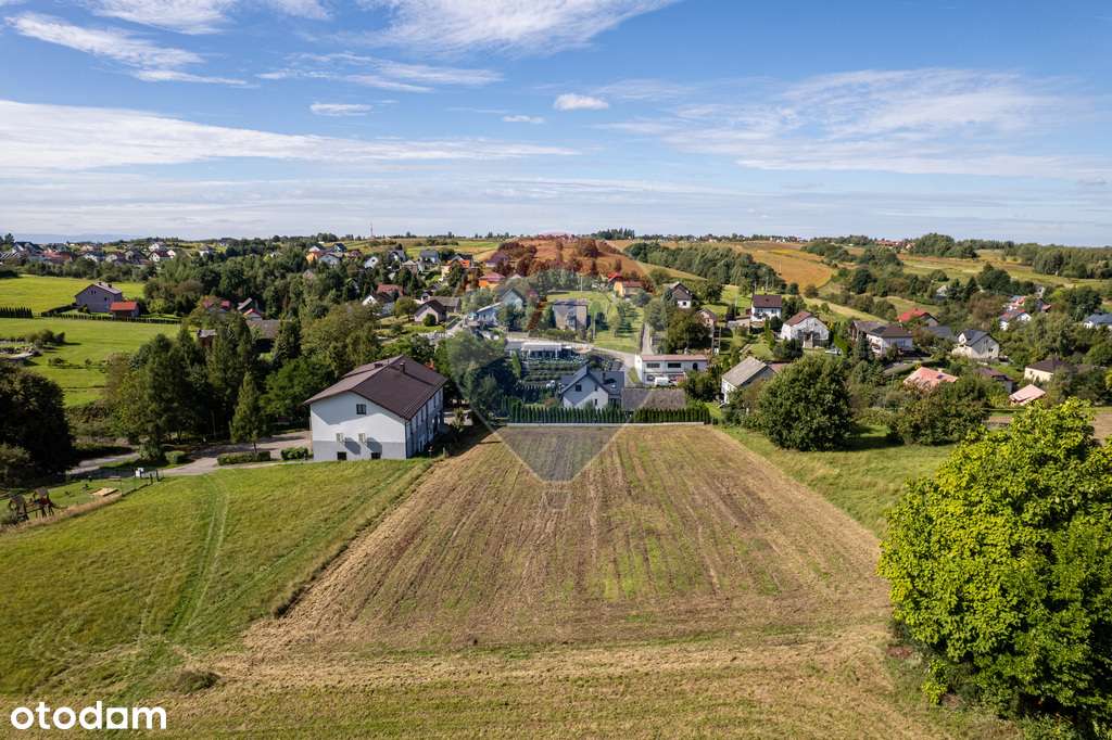 Działka budowlana - Sprzedaż - Sanka (36,58ar)-5