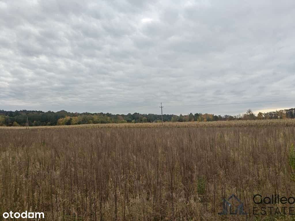 Działka budowlana 1800m2 z Mpzp Dobieszków-3