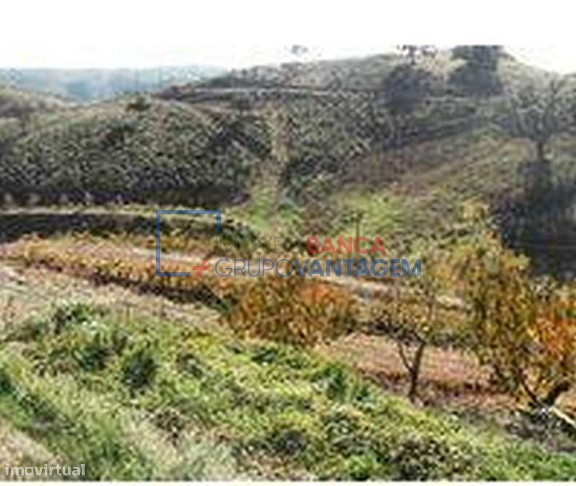 Conjunto de 2 terrenos rústicos, com uma área total de 10.586m², lo... - Grande imagem: 2/6