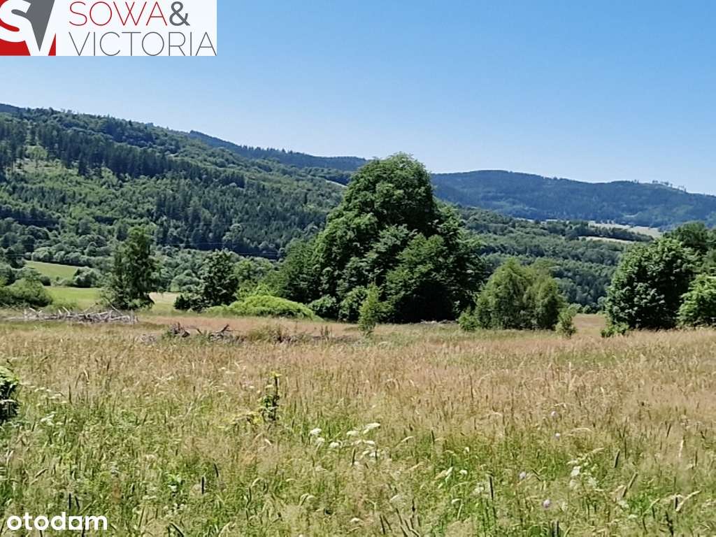 Z widokiem na góry - Pełny obrazek: 4/6