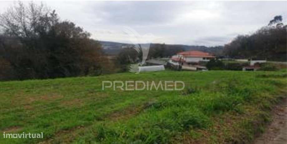 Terreno Rústico em Lamas - Mozelos – Paredes de Coura - Grande imagem: 5/8