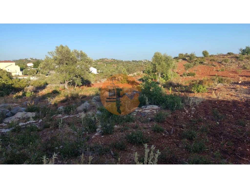 Terreno em Moncarapacho com 20240m2 - Grande imagem: 4/19