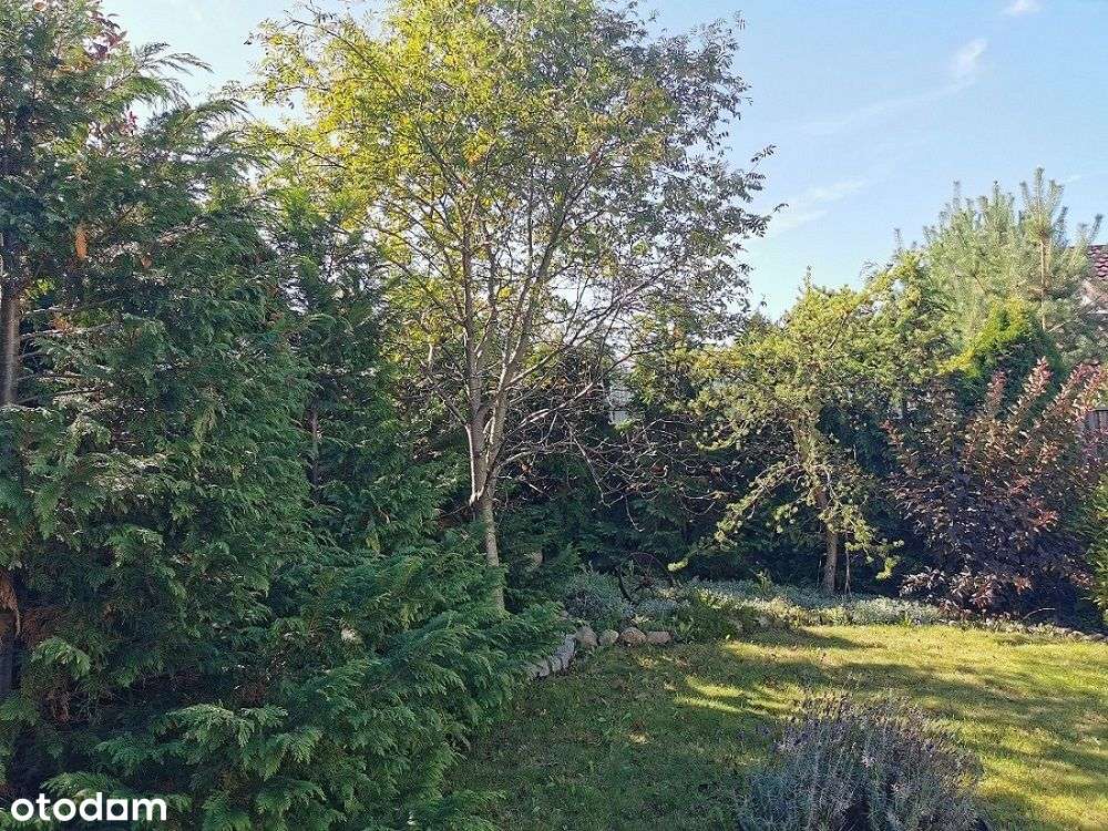 Dom z dużą działką, Witaszyce koło Jarocina-18