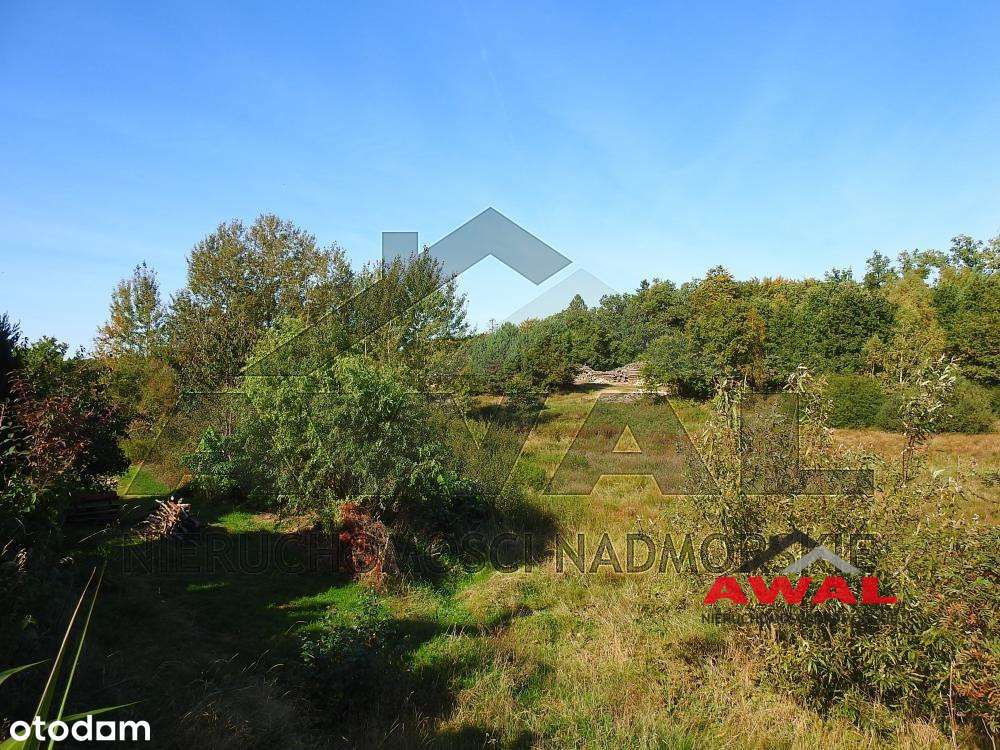 Duża działka rolna w Leśniewie blisko lasu-3