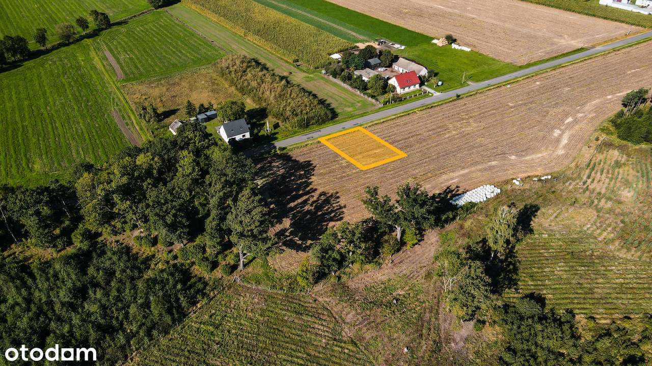 Nowy Folwark, gm. Września, pow. wrzesiński, woj. wielkopolskie-14