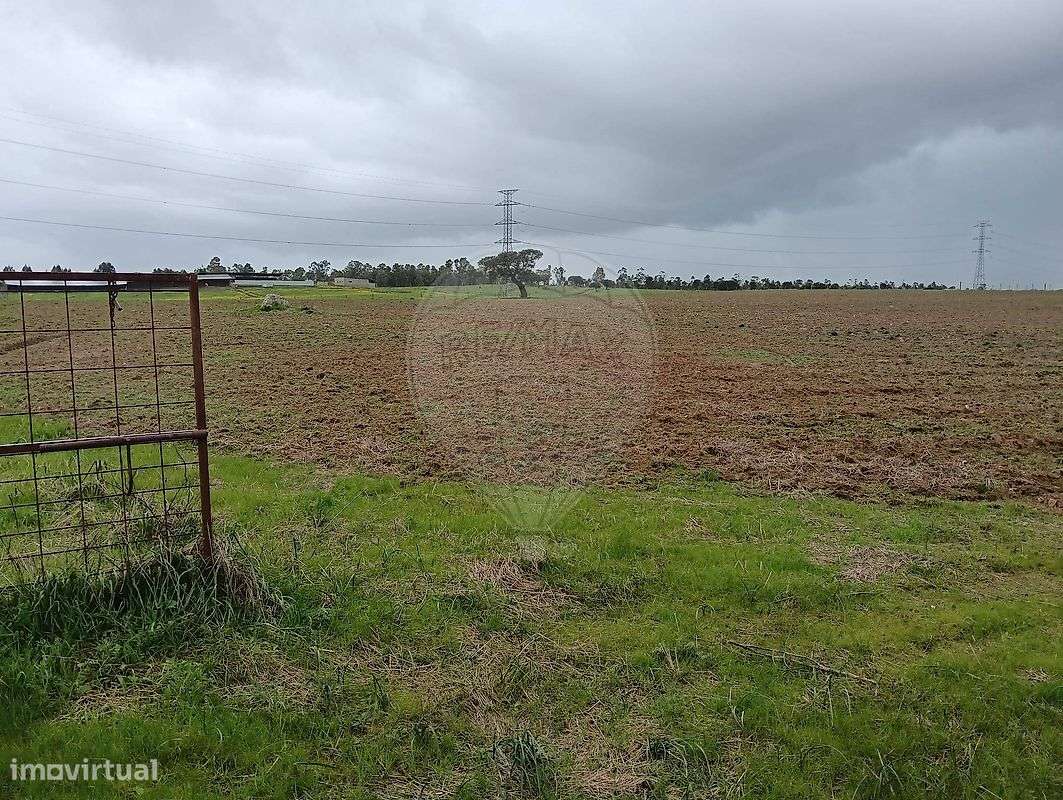 Terreno  para venda-6