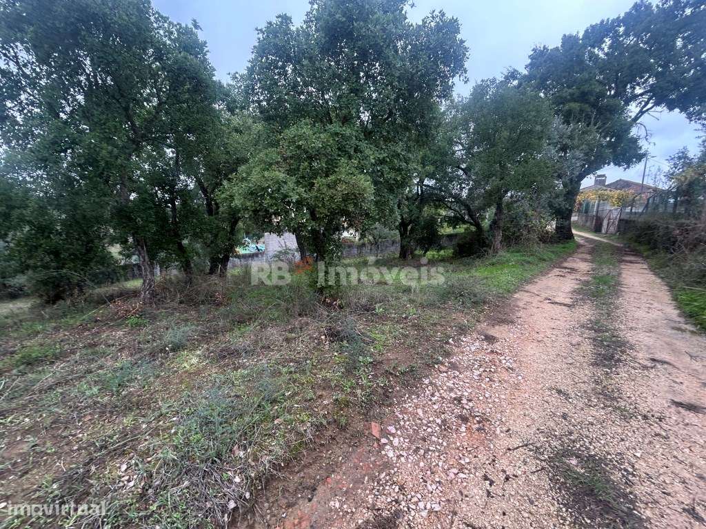 2 terrenos rústicos com 7160m2 - Aboboreira Fundeira, Tomar - Grande imagem: 4/18