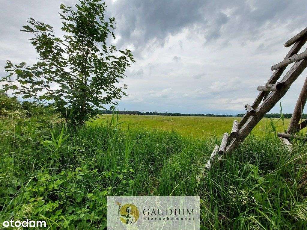 Turystyka nad brzegiem rzeki Obry-10