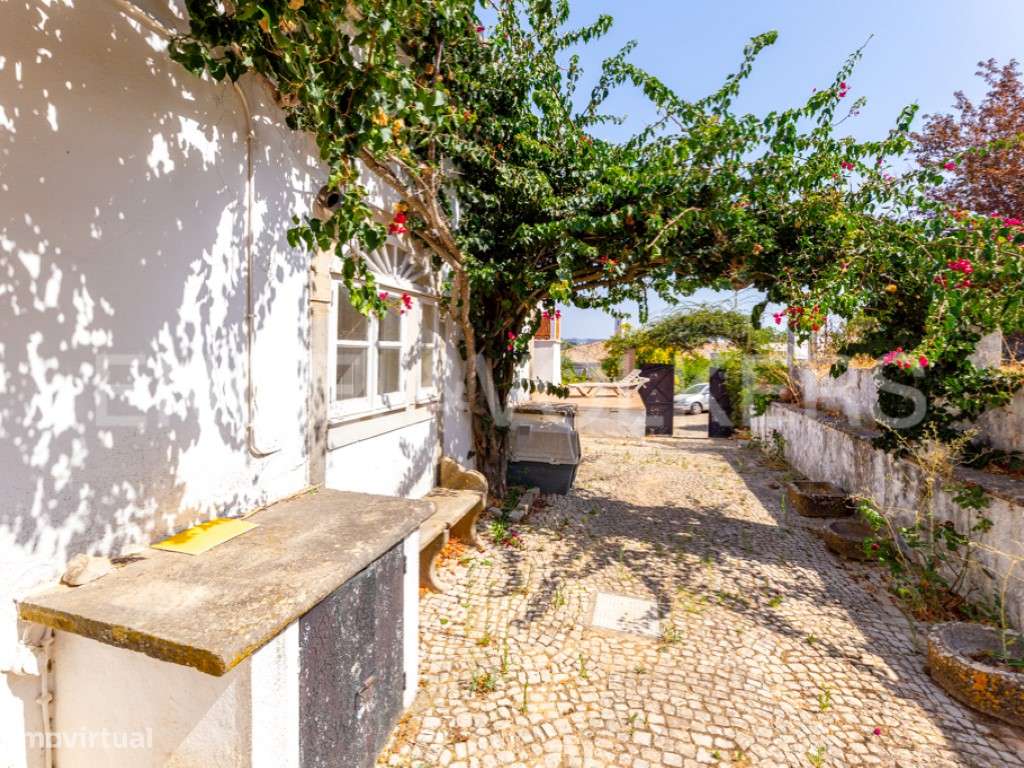 Propriedade tradicional com olival em São Brás de Alportel - Grande imagem: 5/23