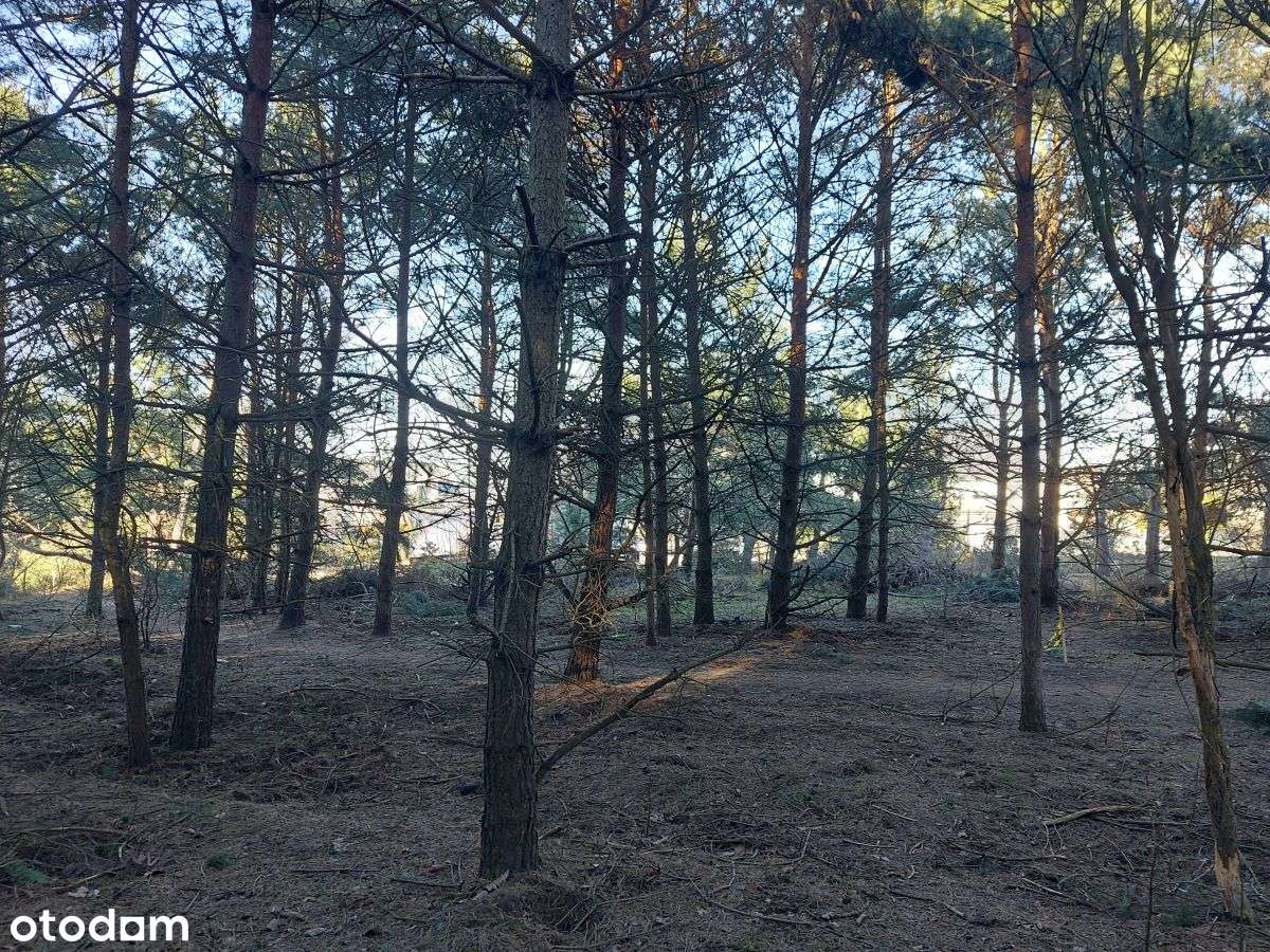 Atrakcyjna działka budowlana w Rumi-10