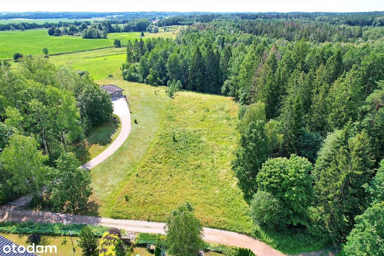 Działka przy lesie! 7200 m² blisko Olecka - Kukowo - Pełny obrazek: 4/8
