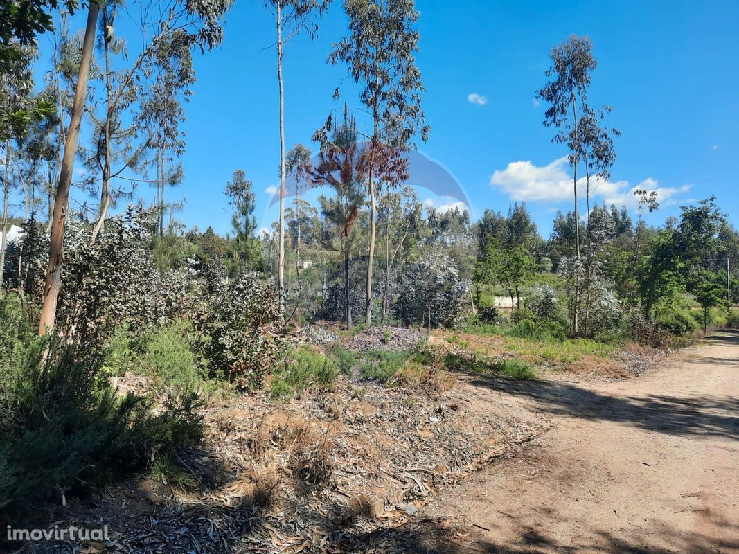 Terreno  para venda