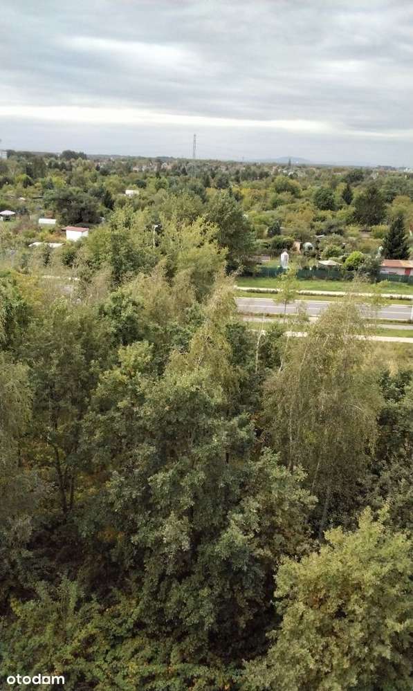 Do wynajęcia dwupoziomowy apartament z dwoma taras - Pełny obrazek: 5/18