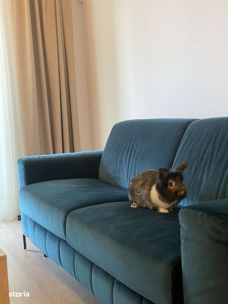 Novum Politehnica Iuliu Maniu|2Min Walk Metro|600EUR+VAT|MS077-Poli - Imagine principală: 1/20