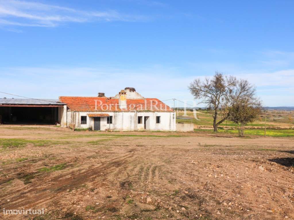 Quinta com casa de habitação T5 e diversas construções-54