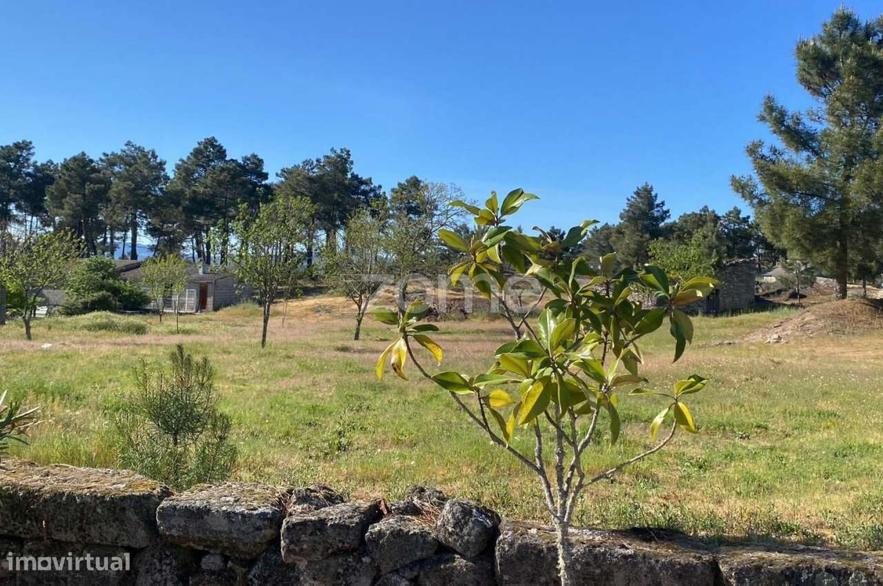 Propriedade Única em Vila Chã – Terreno Misto com Elevado Potencial...-6