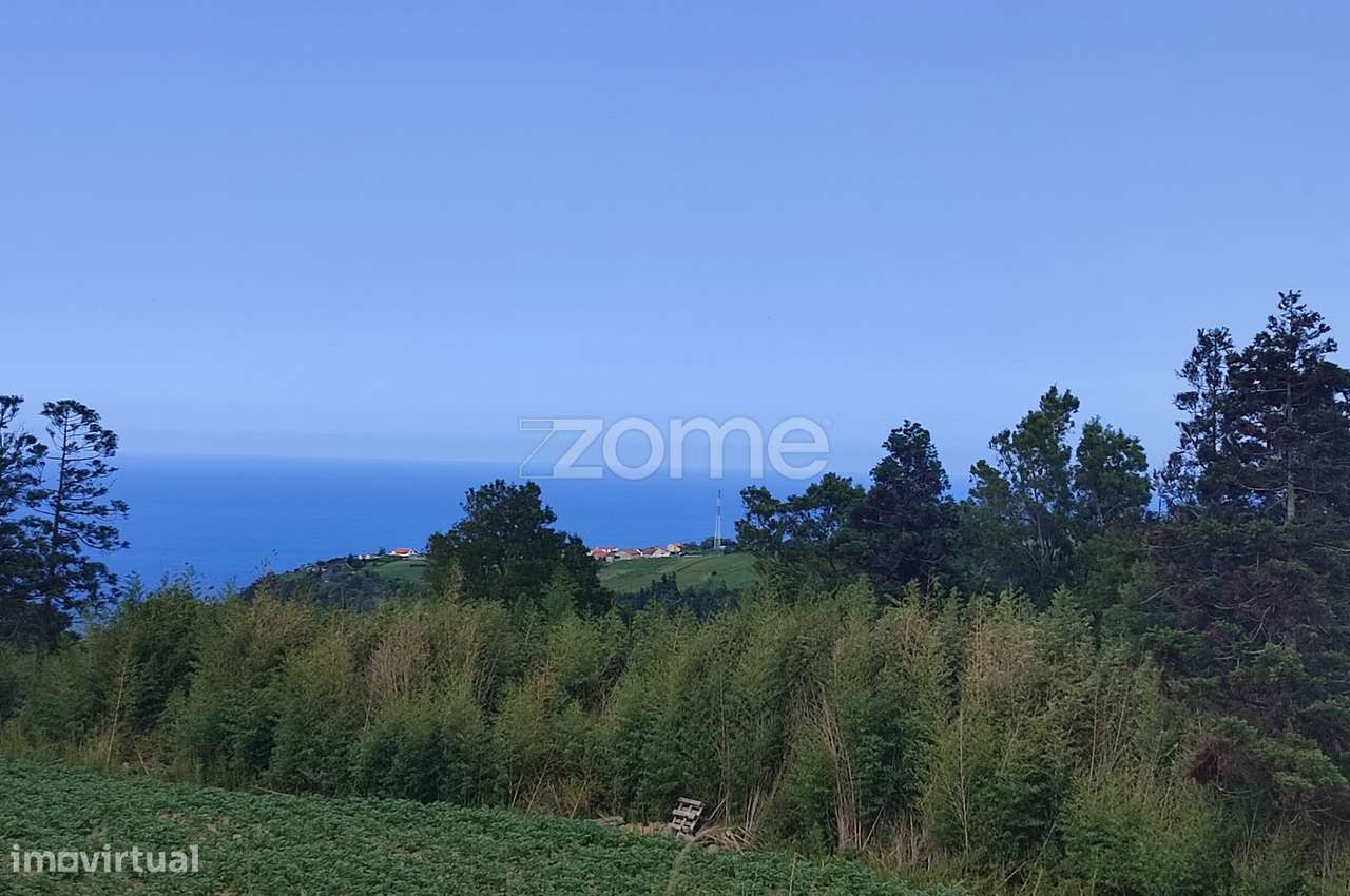 Terrenos Contíguos com Vista Mar na Algarvia, Nordeste - Grande imagem: 4/13