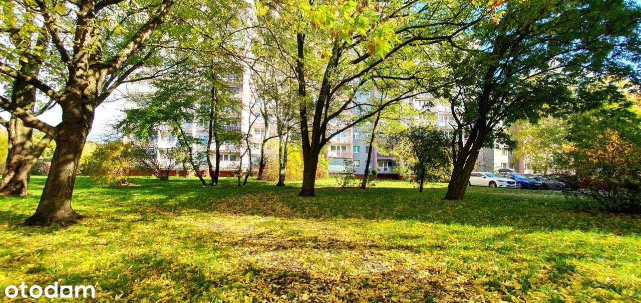 Mieszkanie, 63 m², Zabrze-18