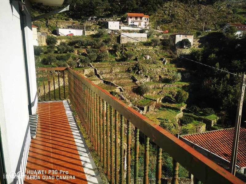 Vende-se Casa Figueira -Lamego - Grande imagem: 4/12