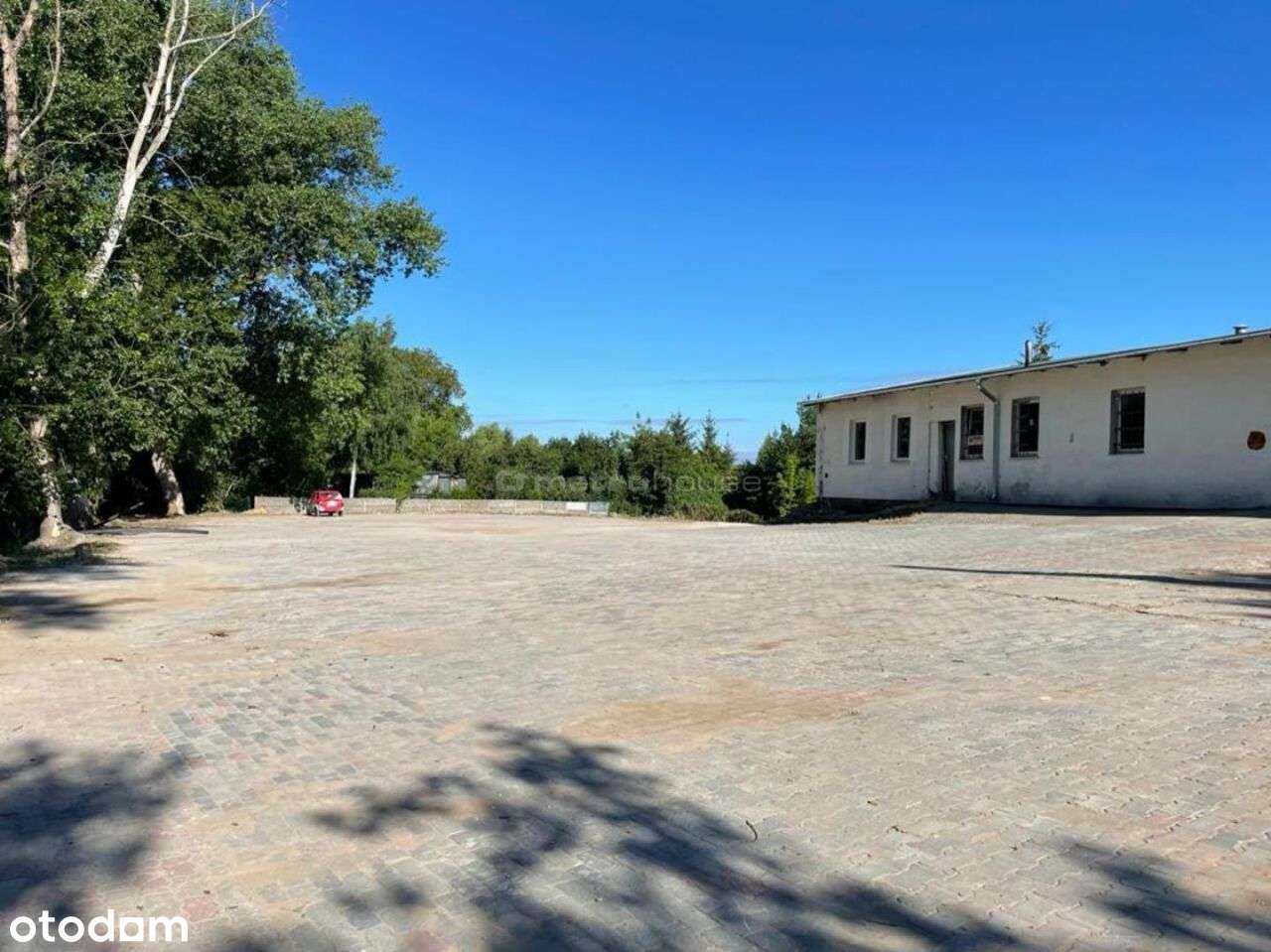 Hala magazynowa 538 m2 w Toruniu - Pełny obrazek: 2/4