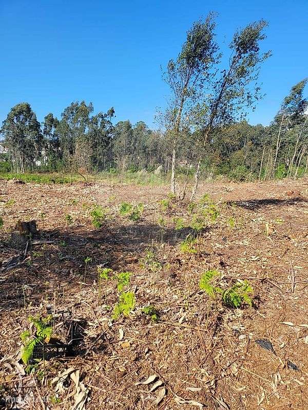 Terreno  para venda - Grande imagem: 4/9