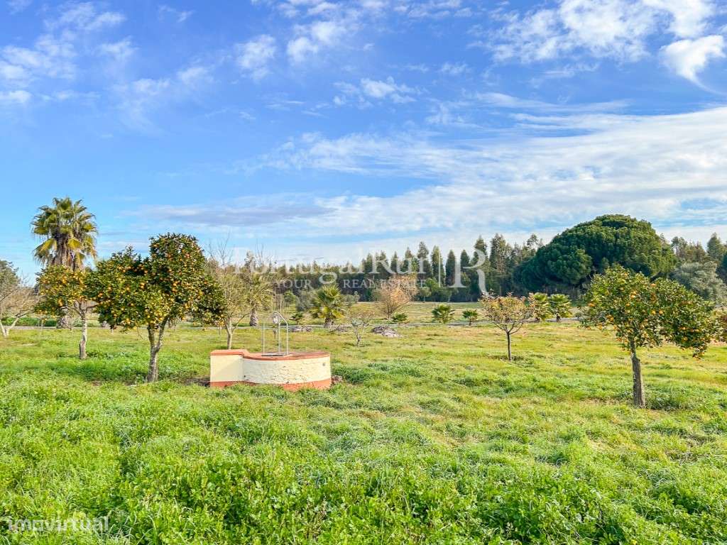 Quinta de 5 hectares, com 2 moradias e piscina-40