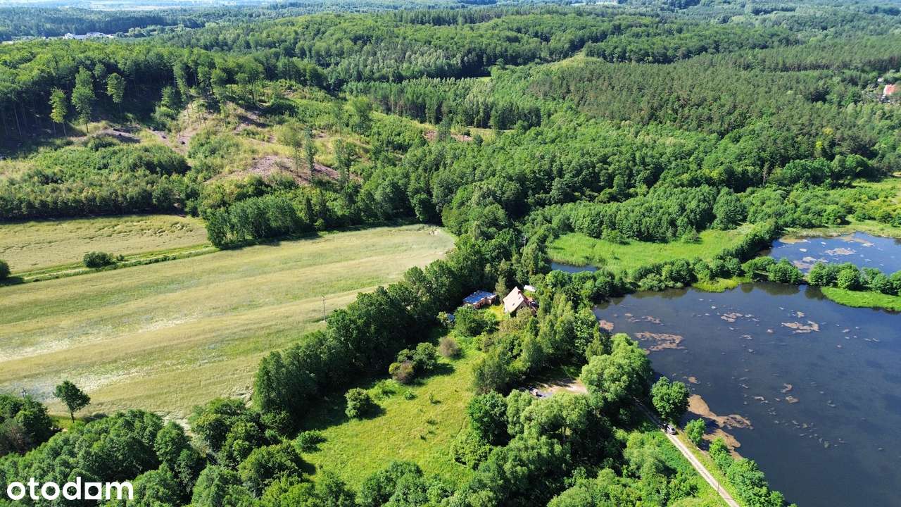 Doskonała inwestycja, stawy, grunty, młyn - Pełny obrazek: 4/7