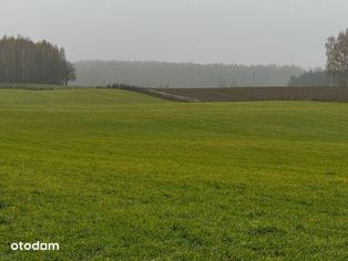 Pojezierze Brodnickie, gospodarstwo rolne - Pełny obrazek: 3/20