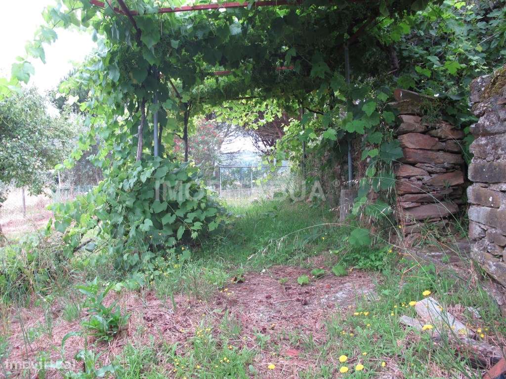 Moradia para recuperar-15