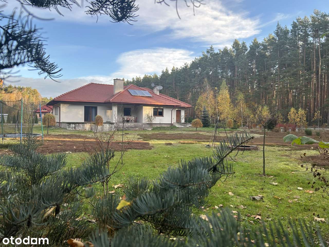 Dom w cichej okolicy - Pełny obrazek: 5/18