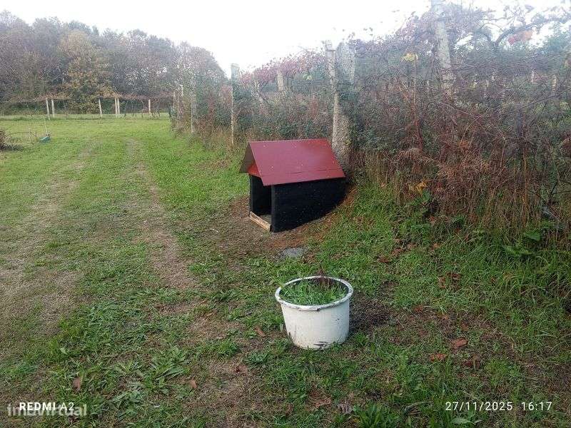 Terreno pomar Valença - Grande imagem: 4/8