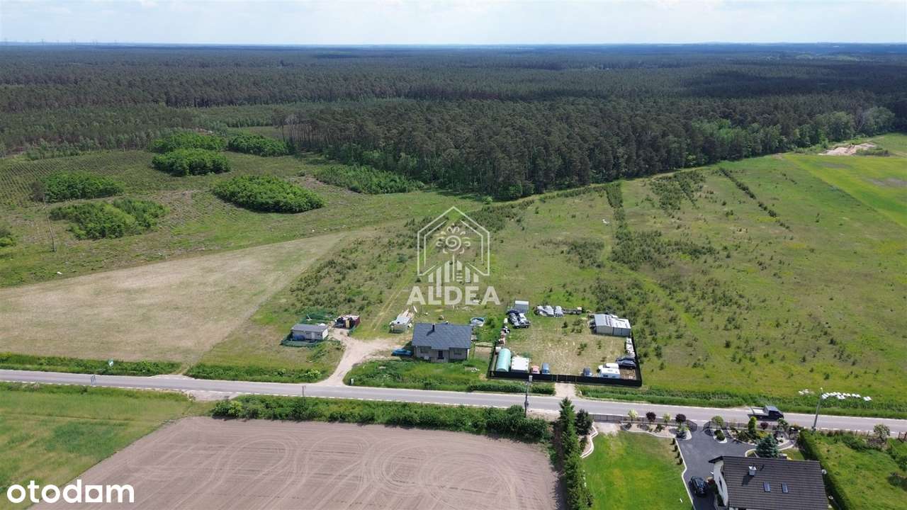 Działki ze Ścianą Lasu Znakomita Oferta - Pełny obrazek: 5/7