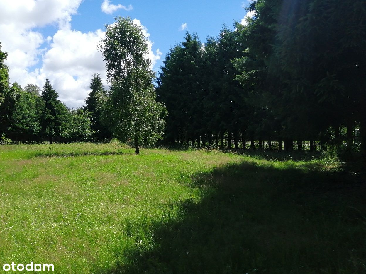 Działka otoczona lasem, 7 km od plaży, 4574 m2