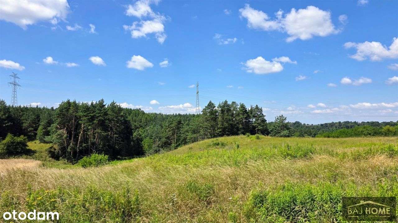 Dąbrówka Królewska - działki na sprzedaż.-2