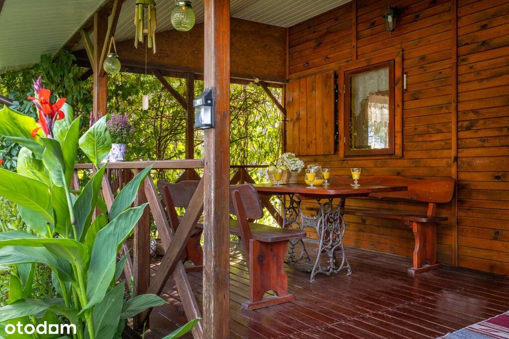 Duża działka z domkiem letniskowym-2