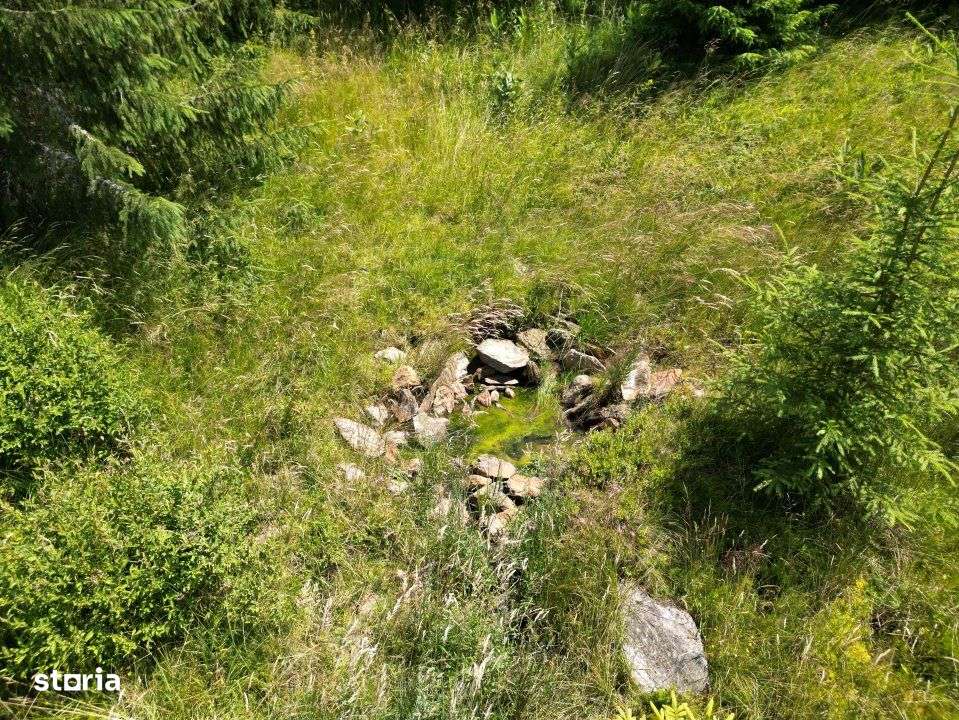 De vanzare teren Extravilan(faneata)-Belis,Cluj-2