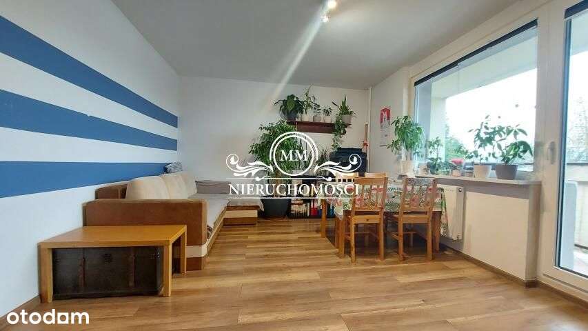 3-pokojowe-przestronne-atrakcyjna cena!!! - Pełny obrazek: 3/17