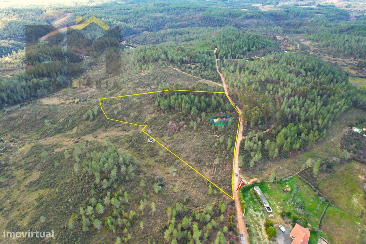 Terreno Rústico  Venda em Salgueiro do Campo,Castelo Branco - Grande imagem: 2/7